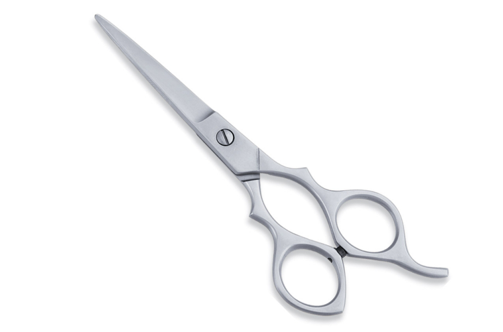 Economy Hair Scissors