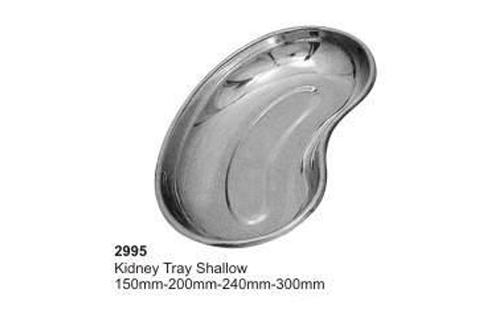 Kidney Tray Shallow