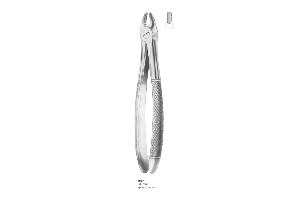 Extracting Forceps