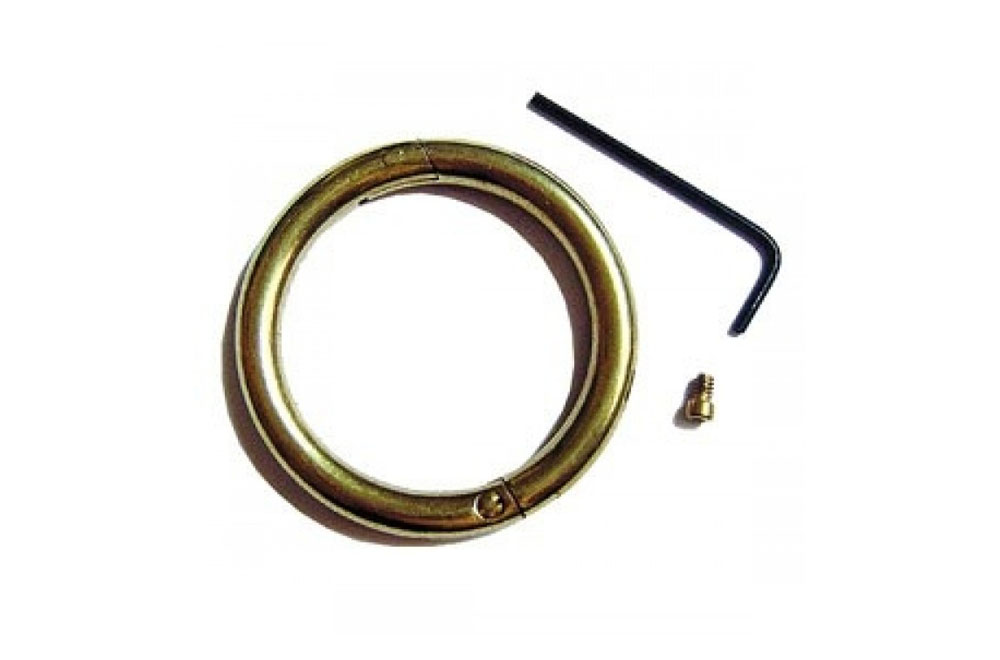 Bull Ring - Brass - Medium 3